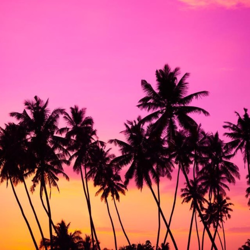 Meet your Posher, Skinny